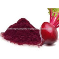 Bulk beet root powder supplier